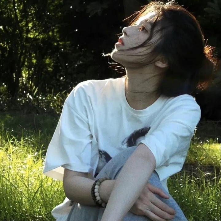 海龟故事