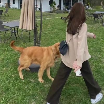 李欧卡霍：不是我